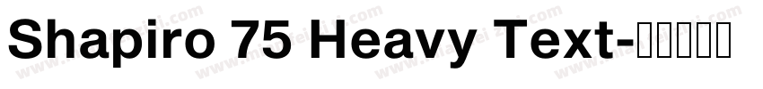 Shapiro 75 Heavy Text字体转换